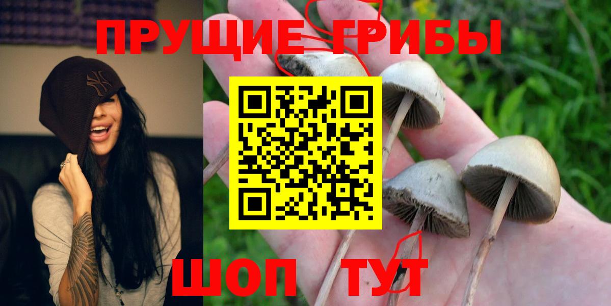 Псилоцибиновые грибы ЛСД  Вход с VPN  что такое   Электрогорск 